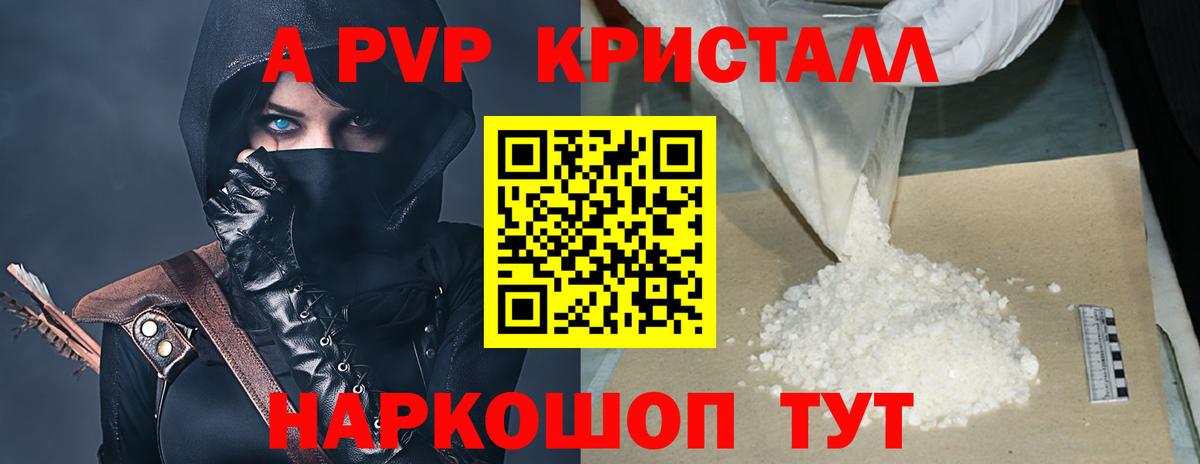 A PVP СК КРИС  Вход с VPN  Кингисепп  Альфа ПВП  A PVP СК КРИС 