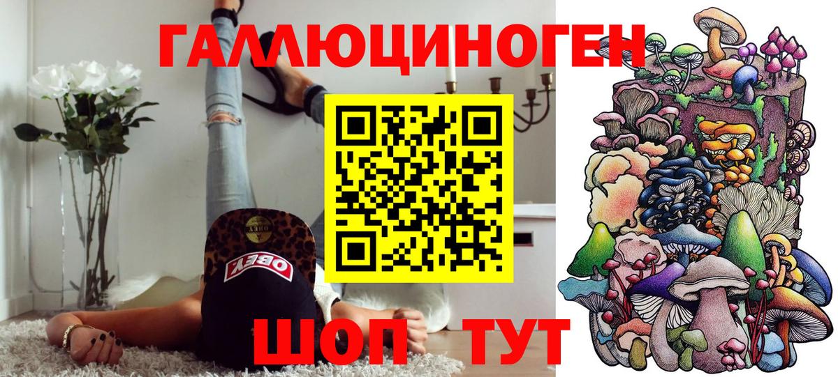 Кингисепп  Галлюциногенные грибы мицелий  Вход с VPN  Галлюциногенные грибы ЛСД 