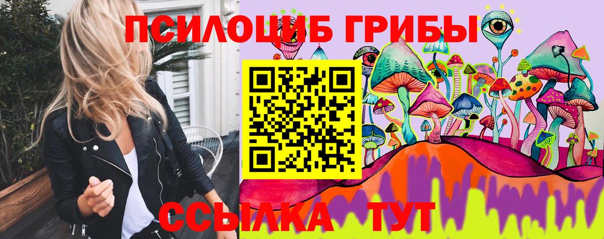 Галлюциногенные грибы Psilocybe Кингисепп
