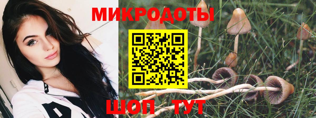 Галлюциногенные грибы мицелий Кингисепп